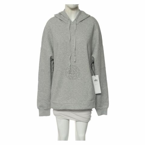 Sell Alo Yoga Interval Hoodie Light Grey HuntStreet